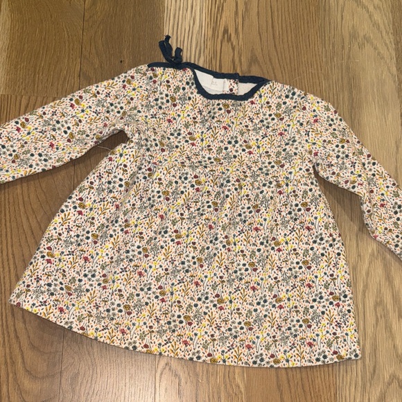 Zara Other - Zara  Floral Long Sleeve Dress